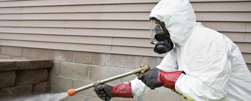 24 Hour Pest Control
