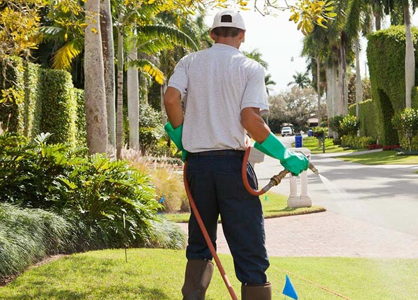 About Allison Park PA Pest Control Pros